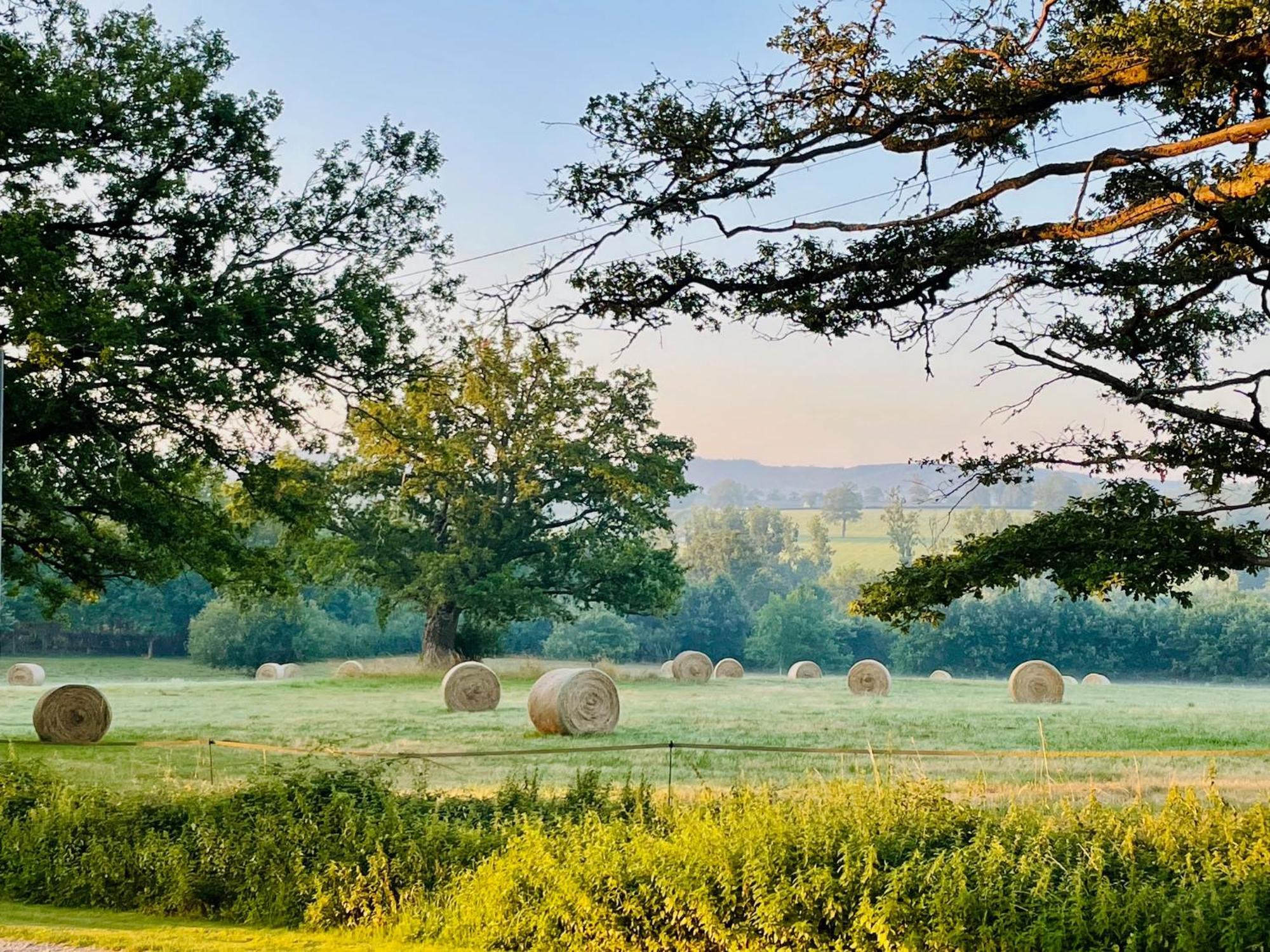 Villa Domaine Le Rianon Malleret-Boussac Esterno foto