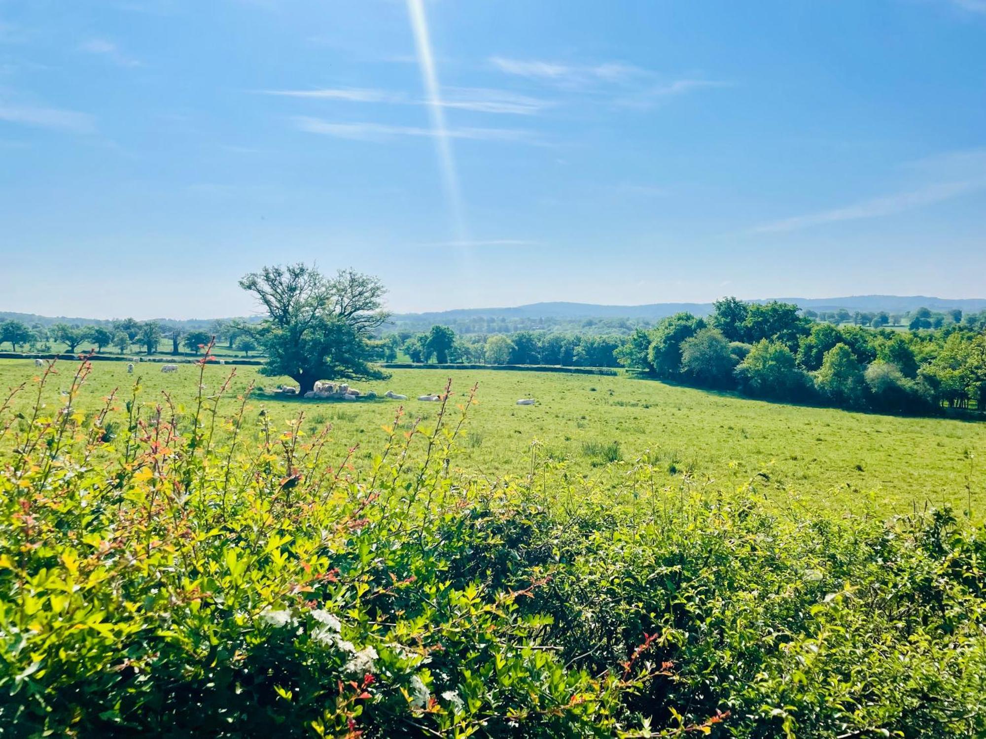 Villa Domaine Le Rianon Malleret-Boussac Esterno foto