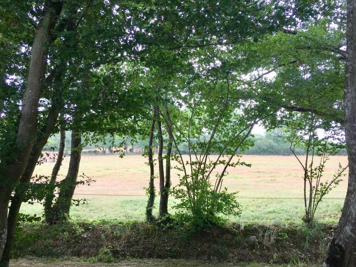 Villa Domaine Le Rianon Malleret-Boussac Esterno foto